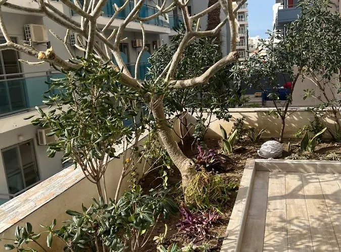 公寓 Psaropoula's Hidden Gem